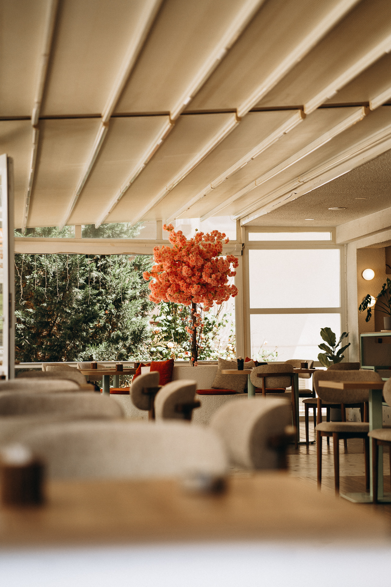 Cafe Interior